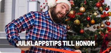 Julklappstips fr honom