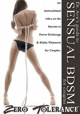 Utbildningsfilmer Dr Avas Guide to Sensual BDSM for Couples