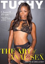 The Art Of Anal Sex Vol 3